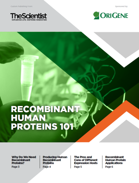 Recombinant Human Proteins 101 eBook